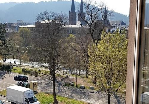 Direkte Aussicht auf "Dreisam"