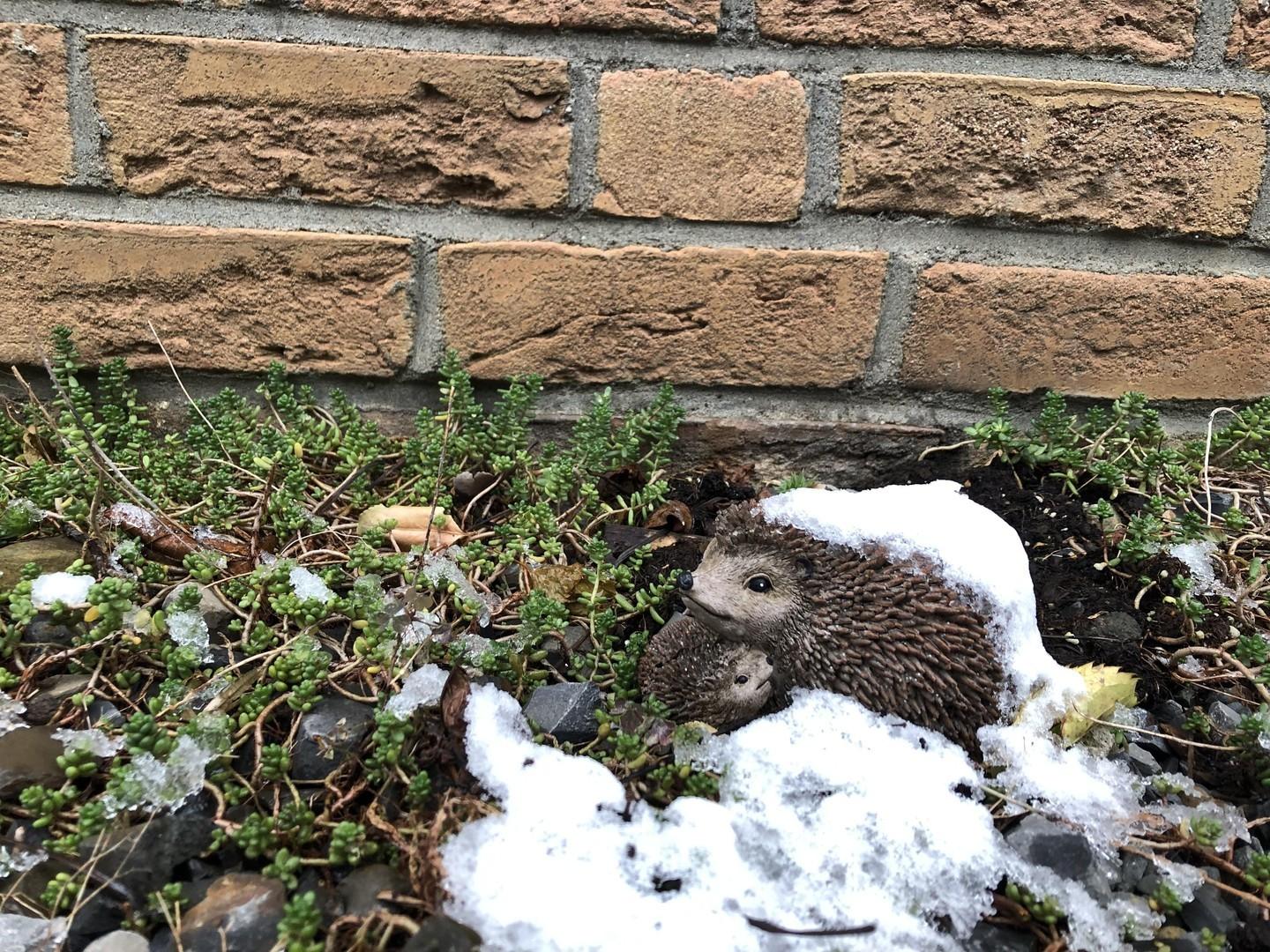 Igel-Figur;)