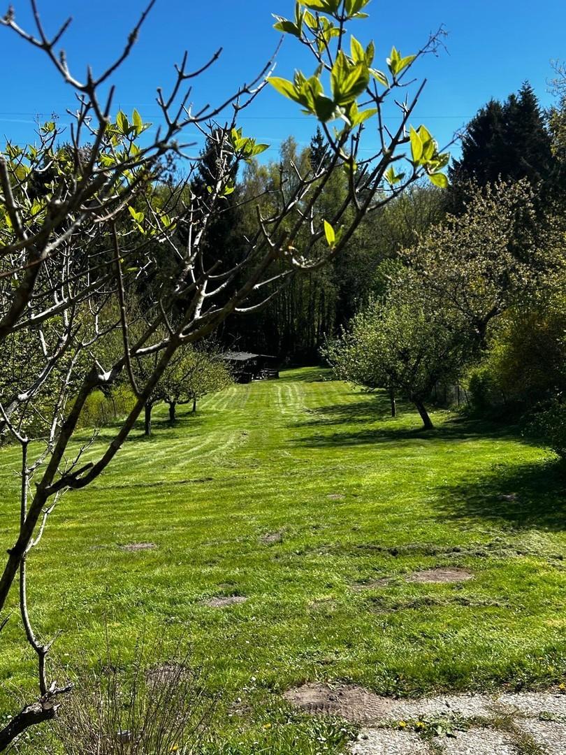 Blick in den Garten