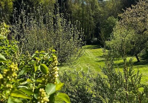 Blick in den Garten