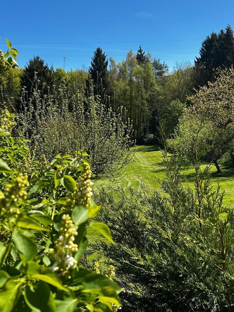 Blick in den Garten