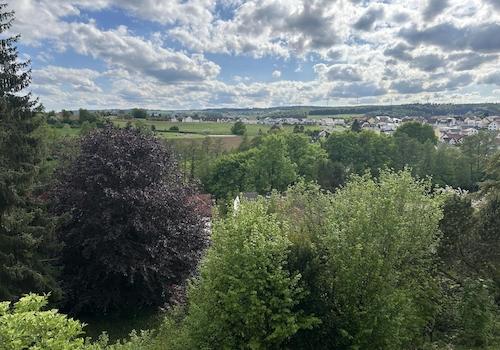 Ausblick