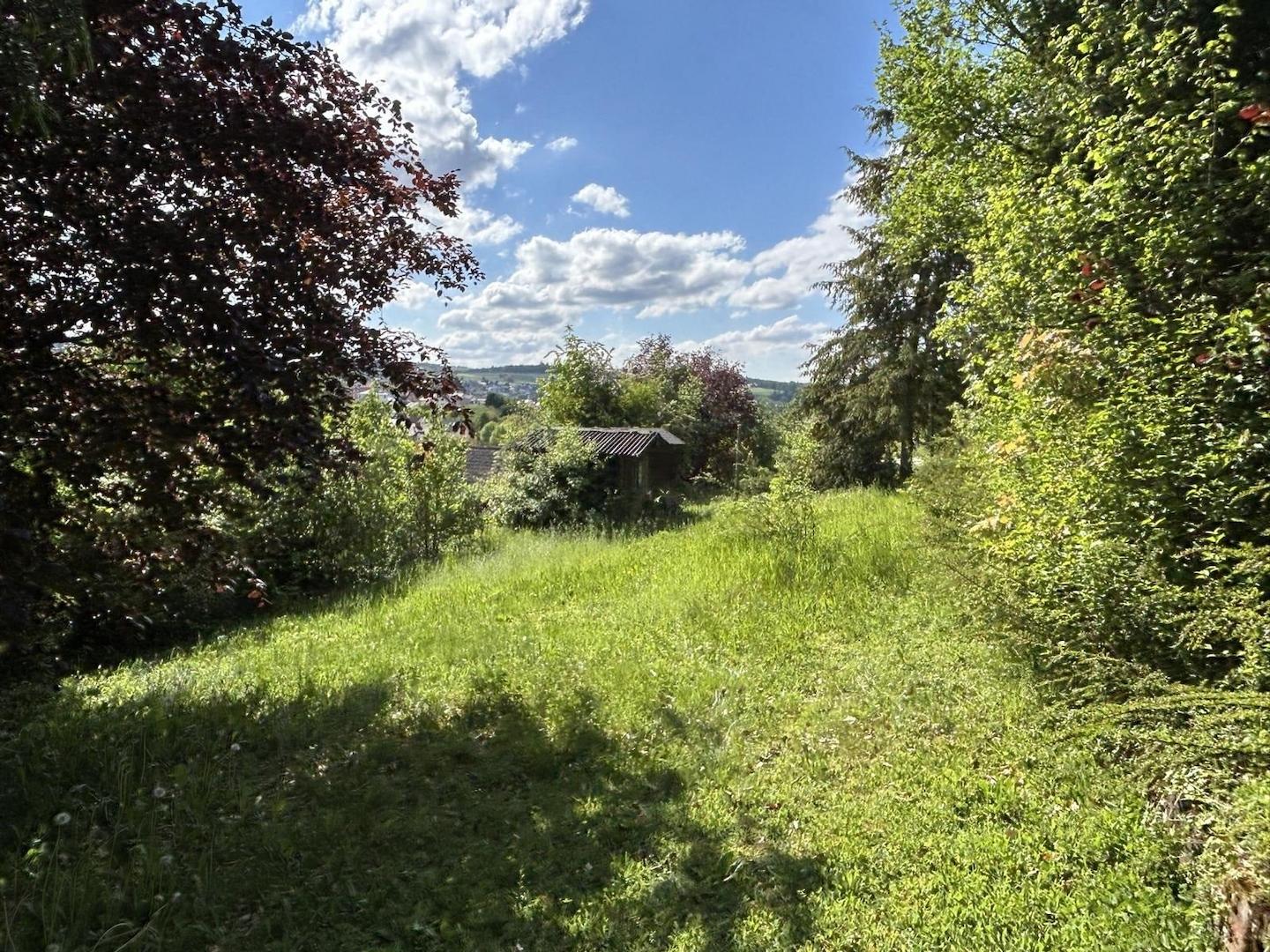 Garten Teil 1