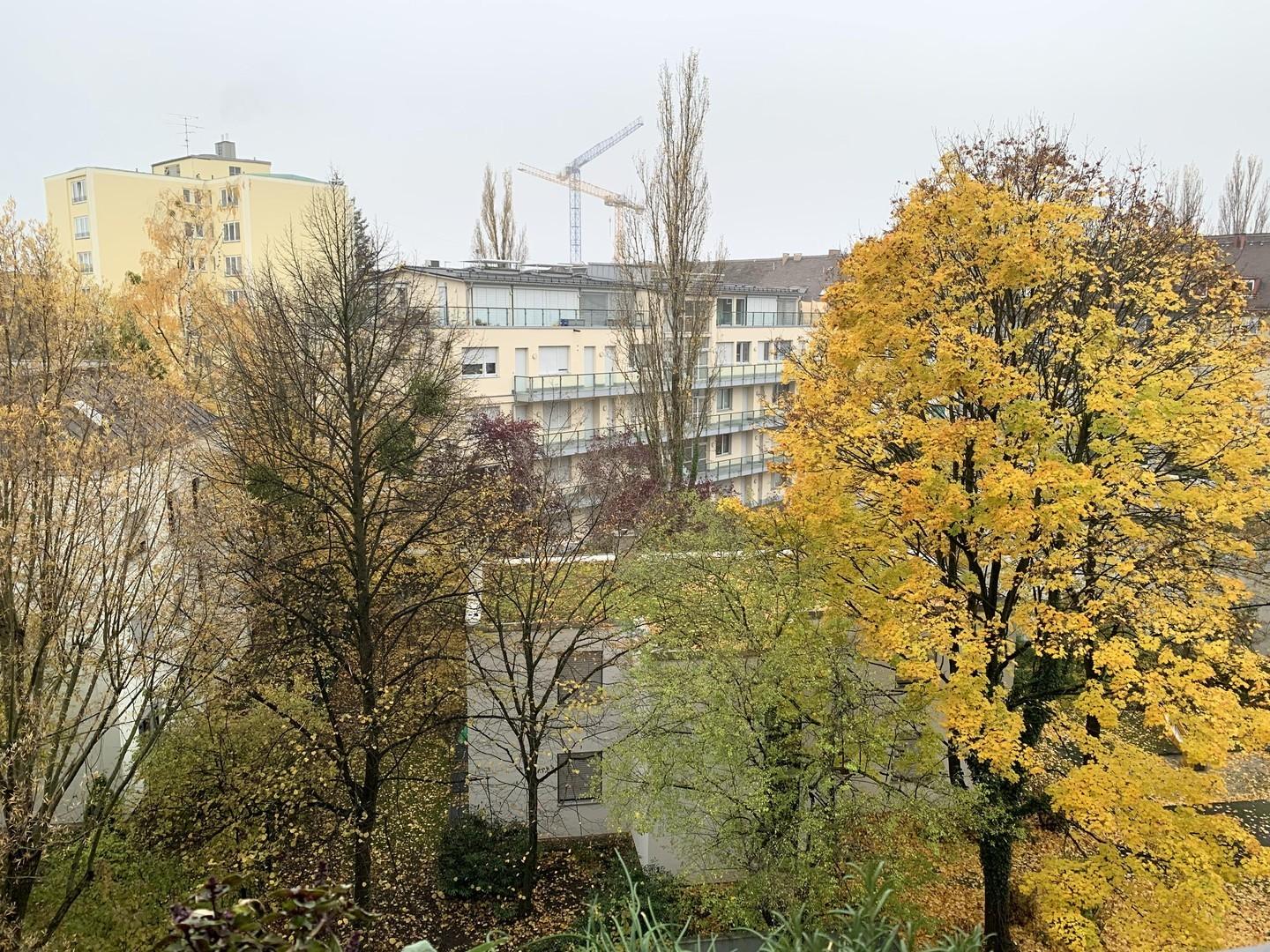 Balkon Trennwand/Boden saniert