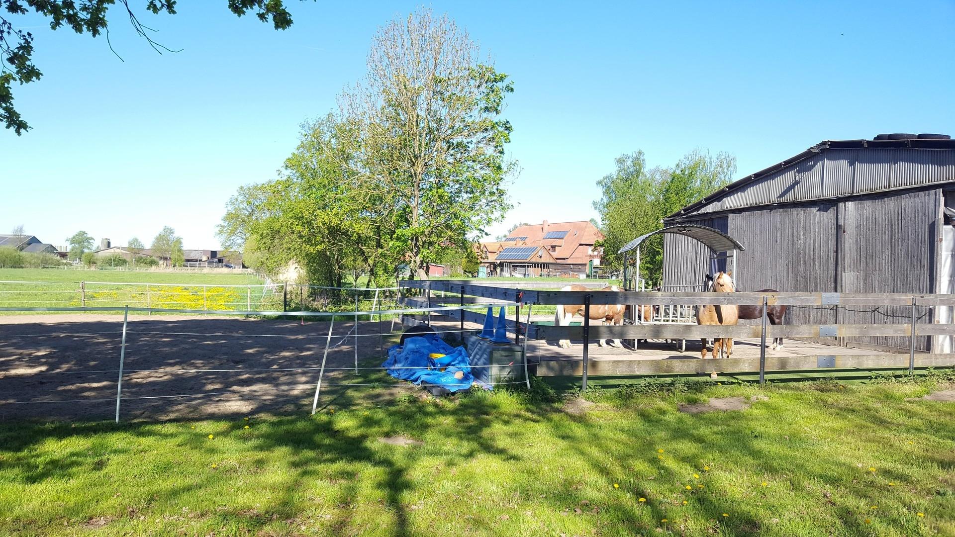 Paddock und Stall