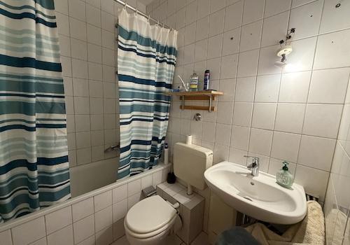 Sanitär