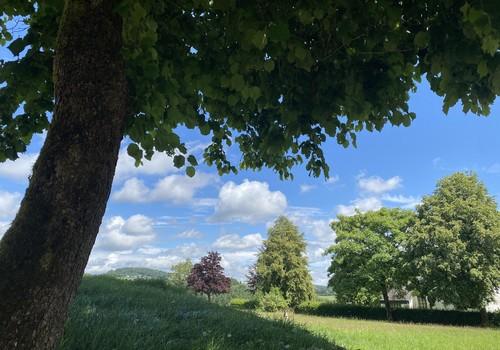 Blick seitlich 1