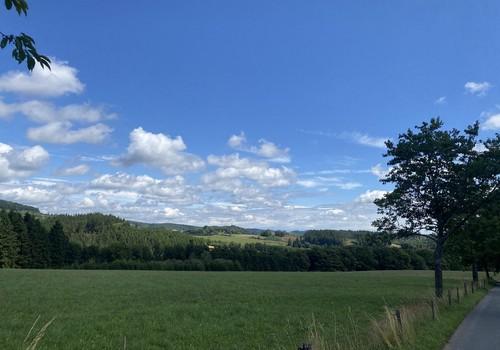 Blick seitlich 2