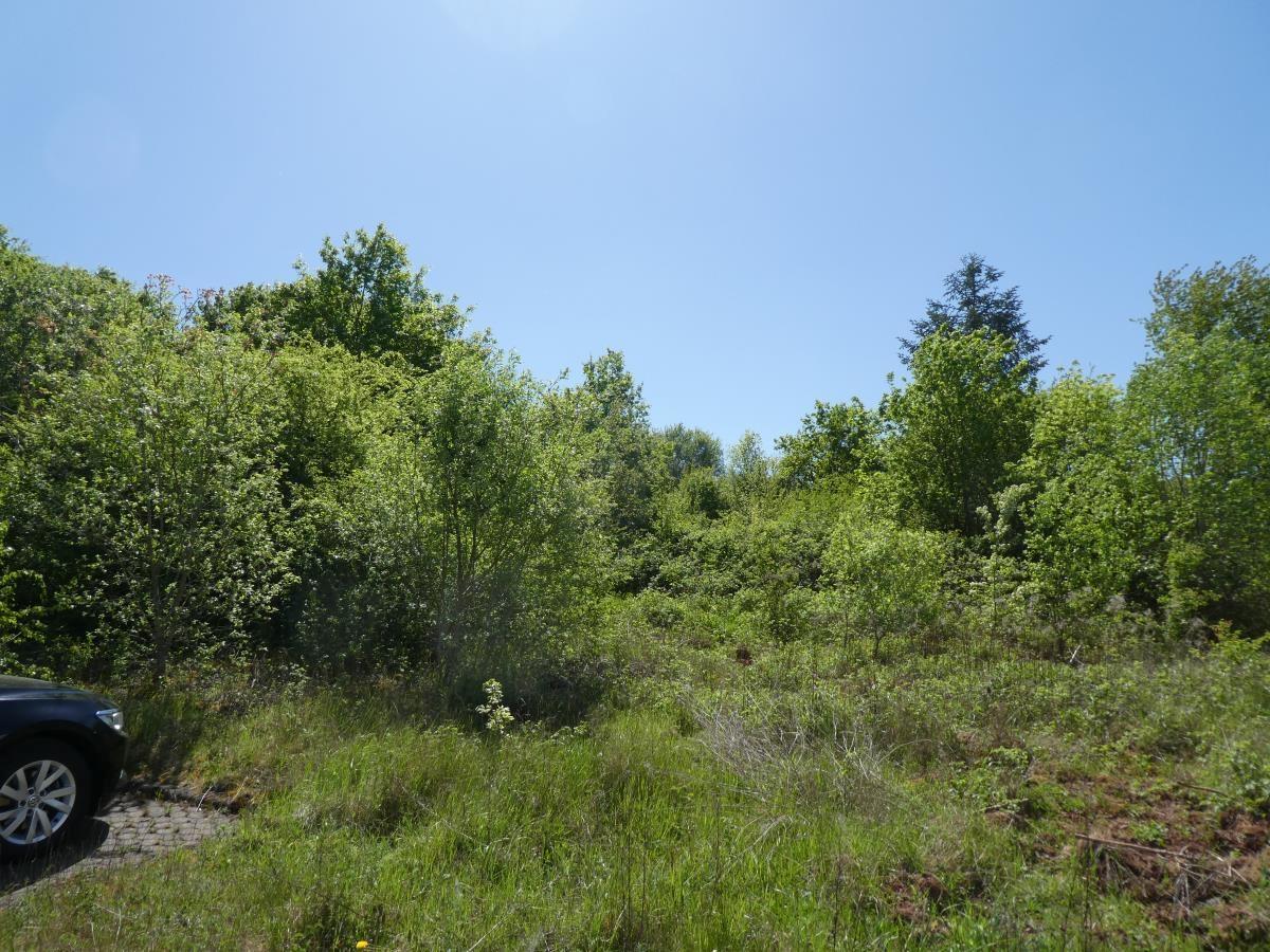 Ansicht 4