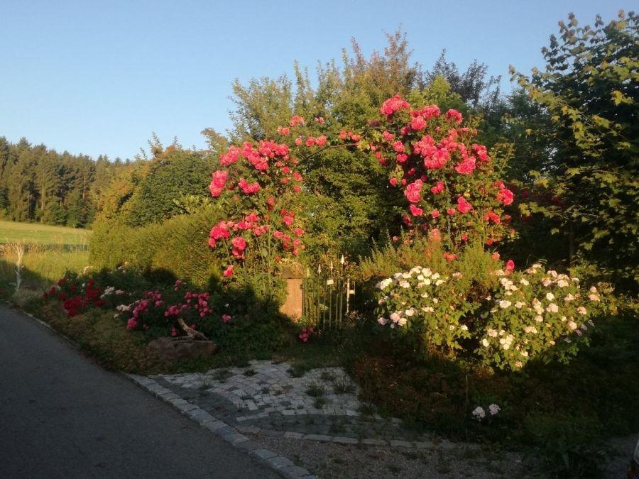 Garteneingang Süd