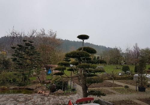 Gemüsegarten
