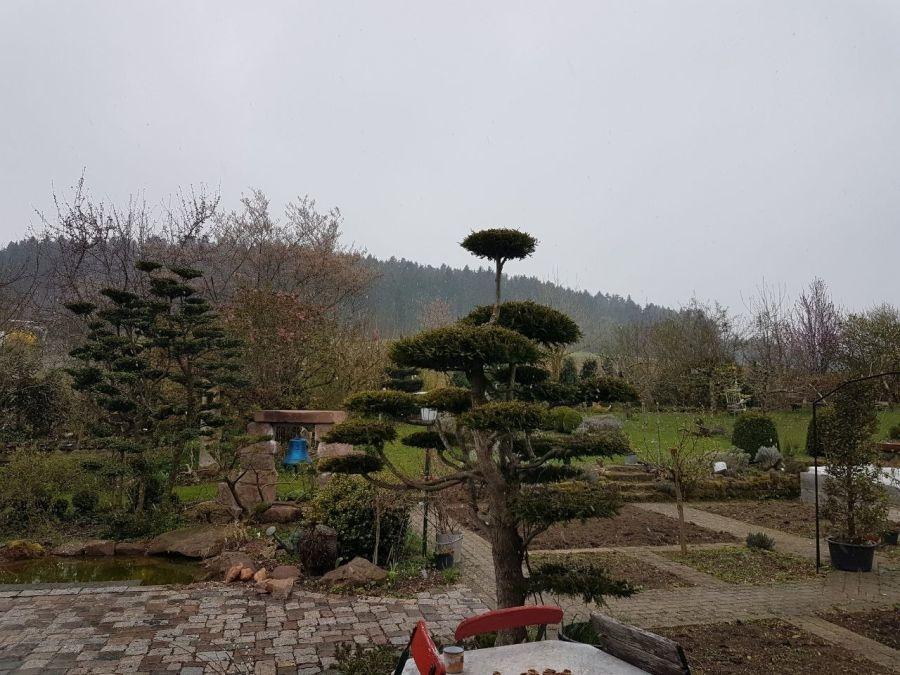 Gemüsegarten