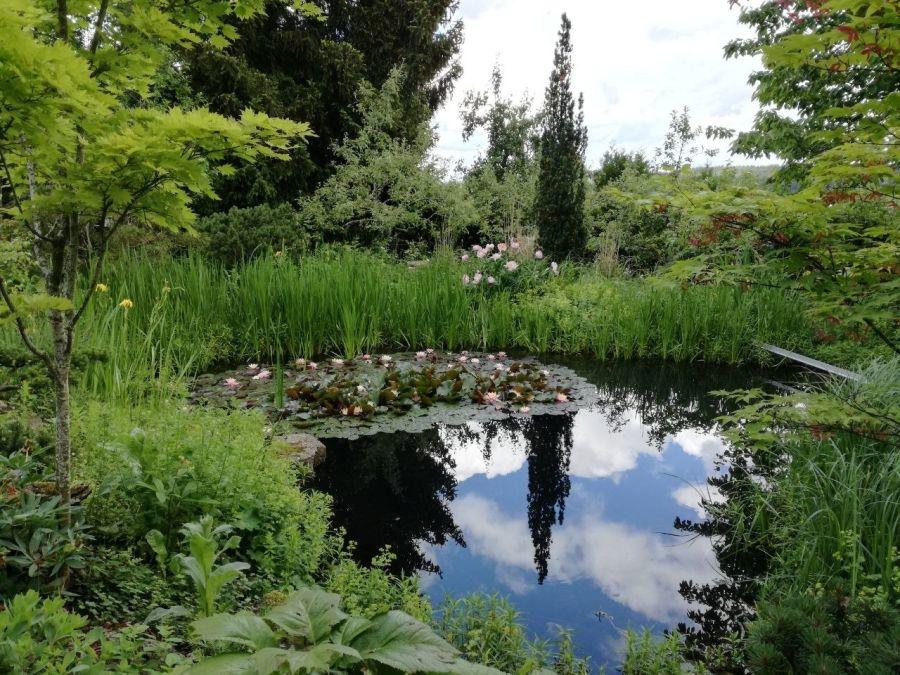 Teich