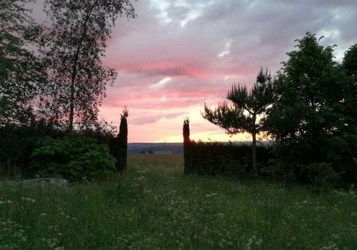 Blick in den Schwarzwald im Westen des Grundstückes