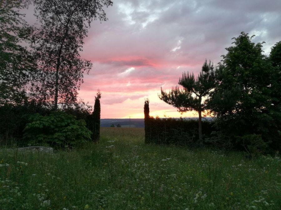 Blick in den Schwarzwald im Westen des Grundstückes