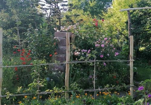 Garten