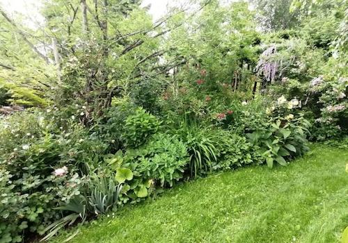 Garten