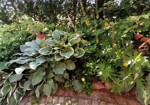Garten