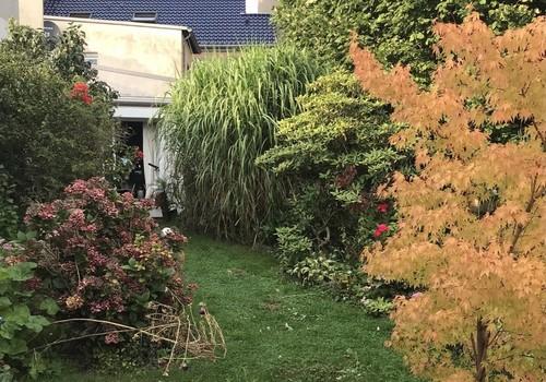 Blick zur Terrasse