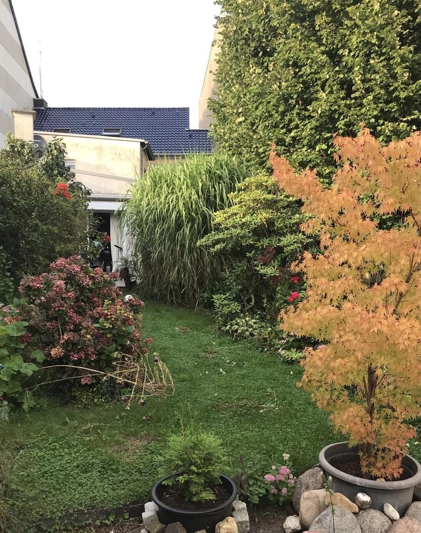 Blick zur Terrasse