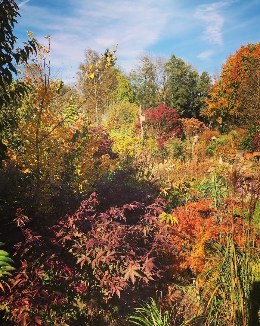 Garten Herbst