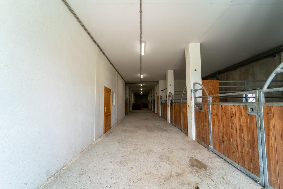 Stallgasse