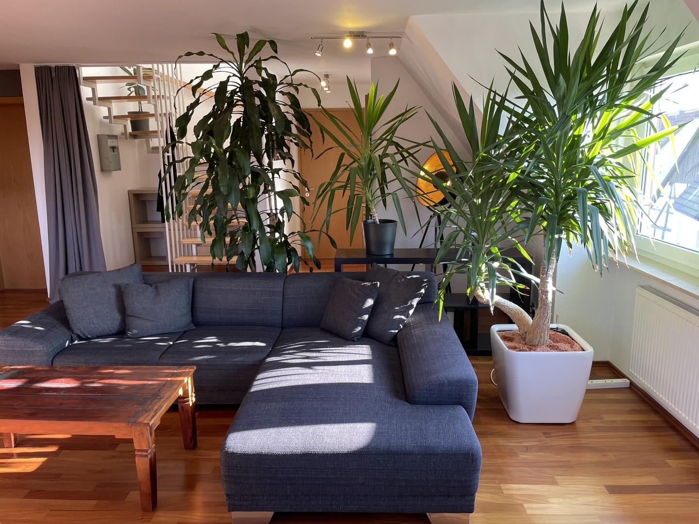Wohnzimmer 