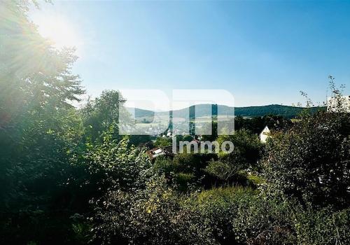 Ausblick Panorama