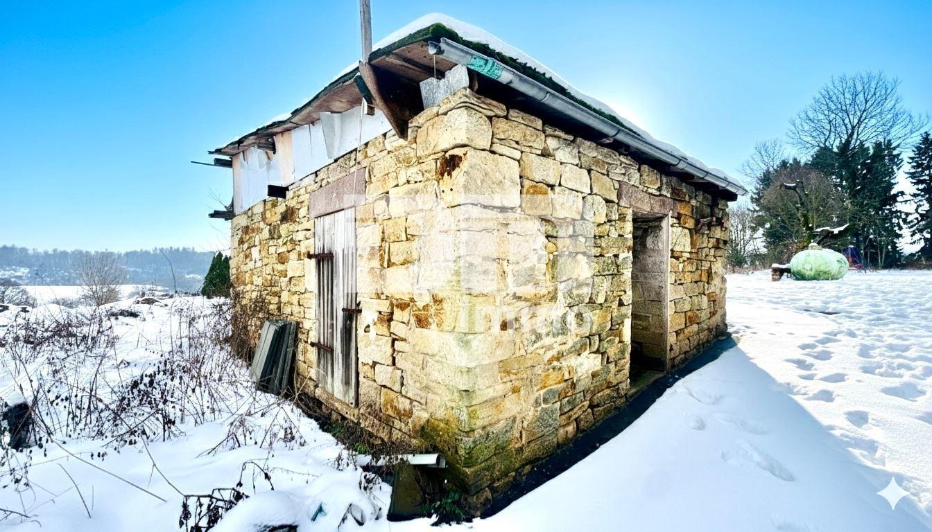 Backhaus