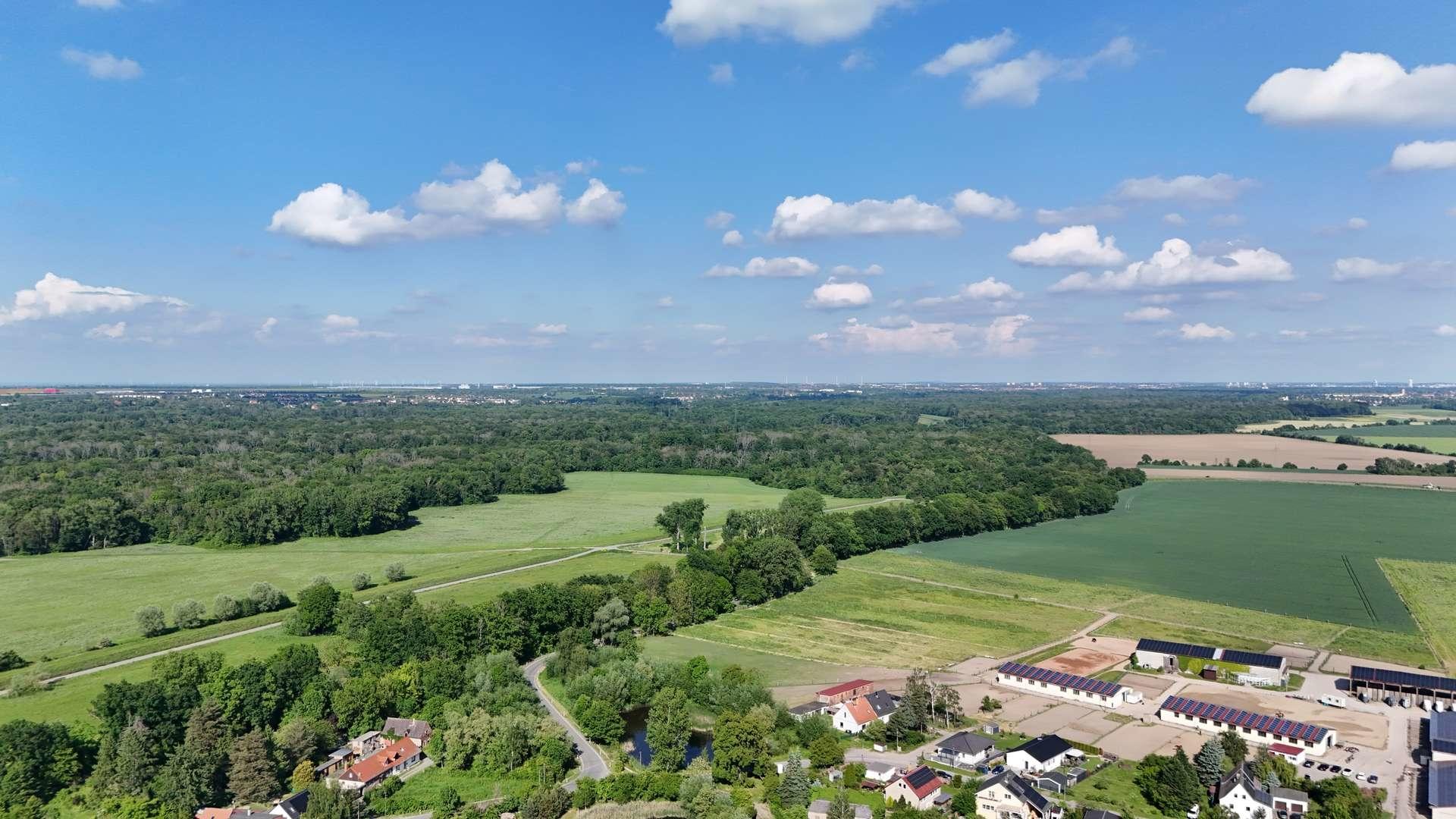 Blick Richtung Auenwald