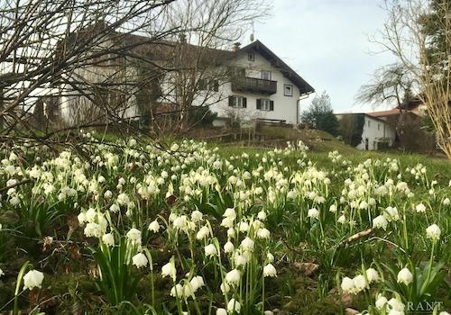 Vor dem Umbau