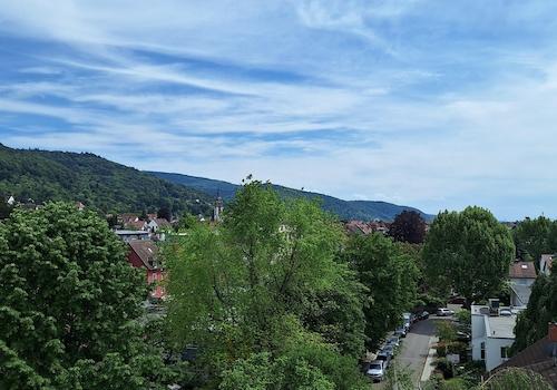 Handschuhsheim