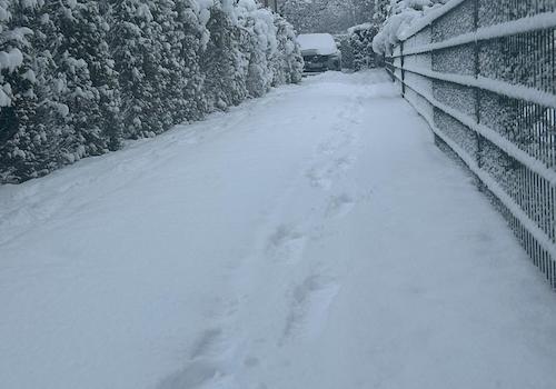 Einfahrt Winterimpression