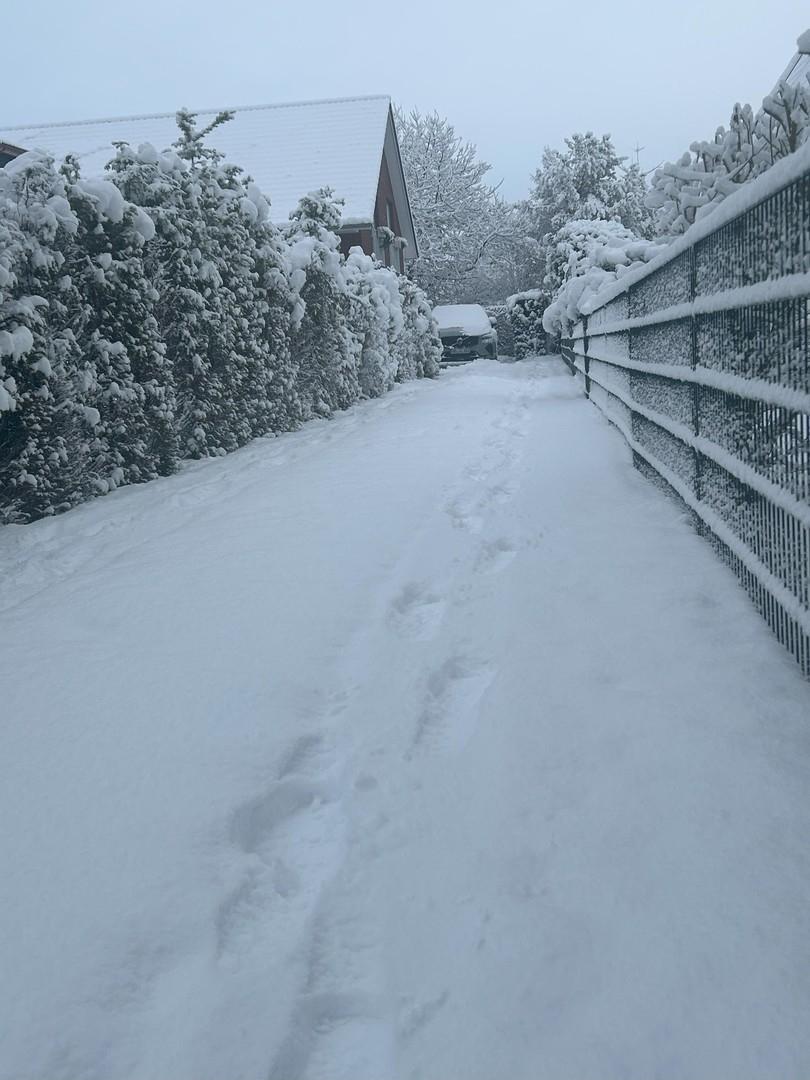 Einfahrt Winterimpression