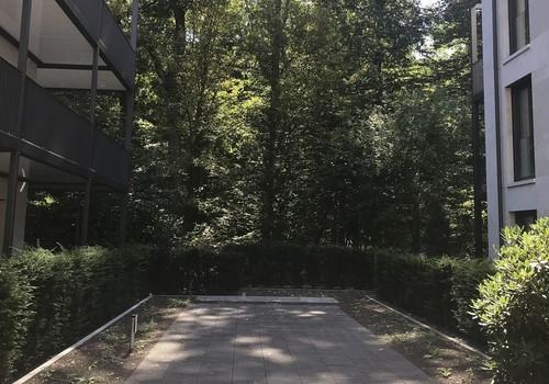 Zugang zum Wald