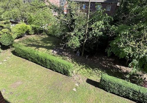 Gemeinschaftsgarten