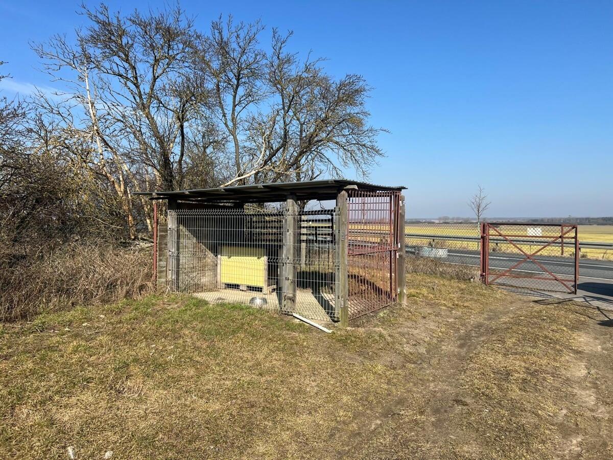 Hundezwinger