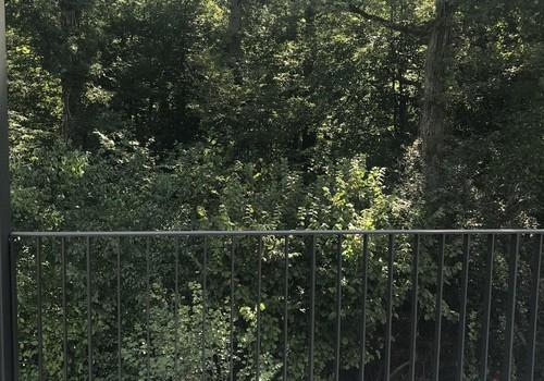 Ausblick vom Balkon