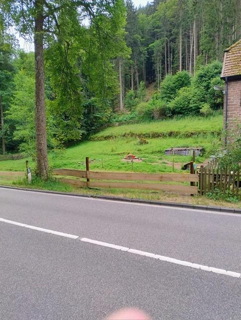 Eingezäunte Wiese