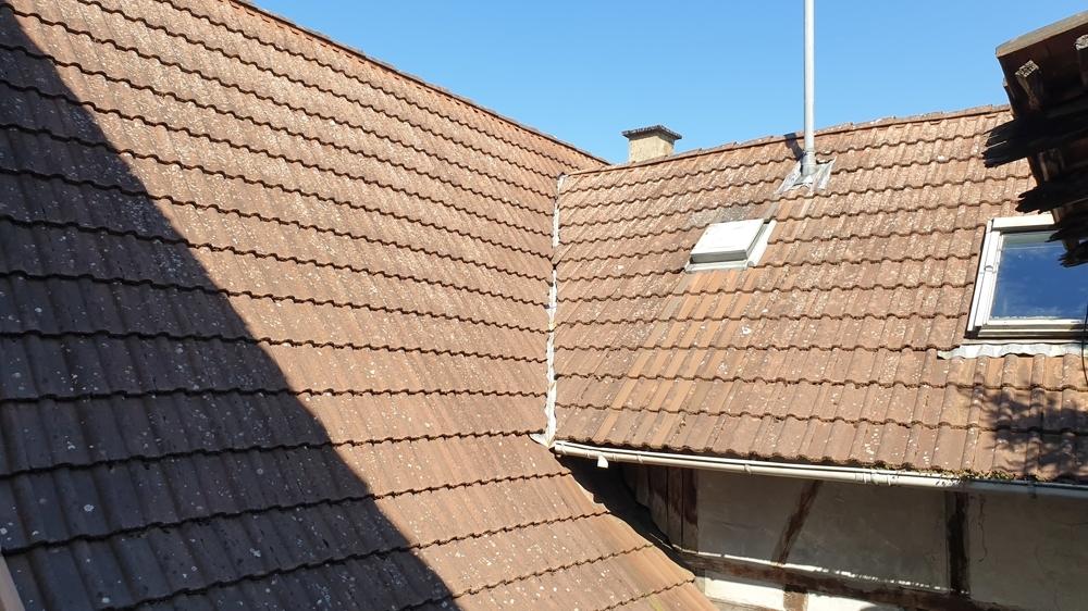 noch ein Blick aufs Dach