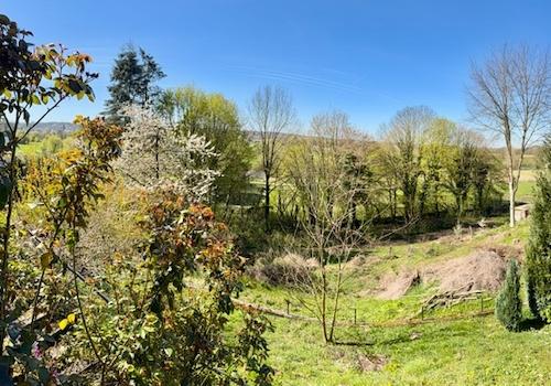 Ausblick