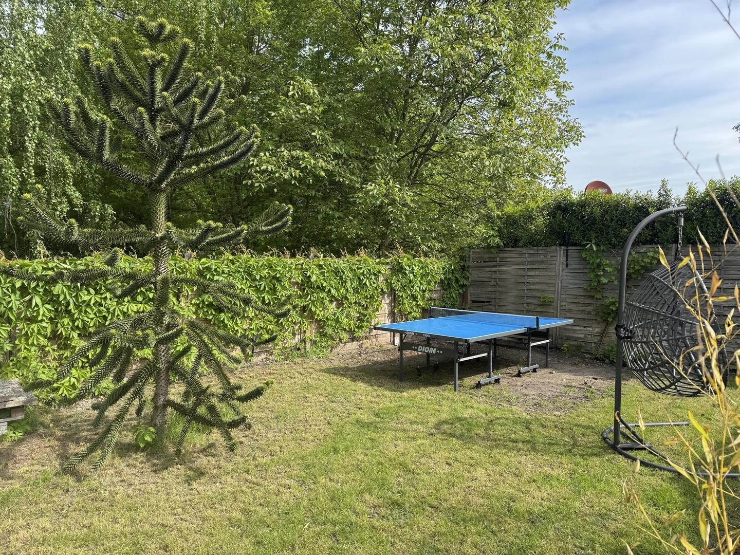 Gartenbereich hinten
