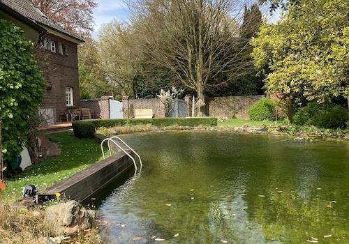 Schwimmteich