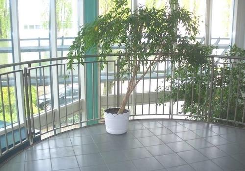 Galerie