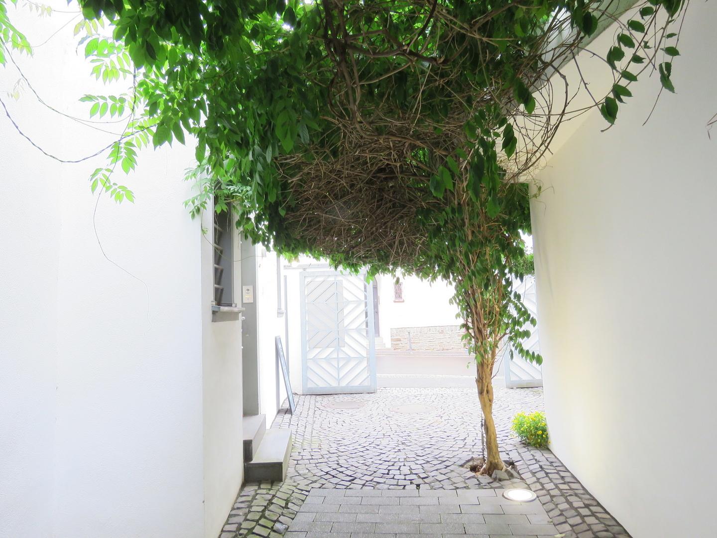 Zugang Haus