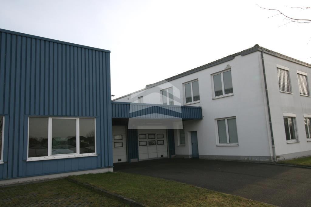 Zufahrt_Halle