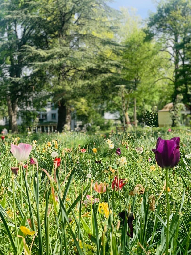 Park um Villa Louis Laiblin