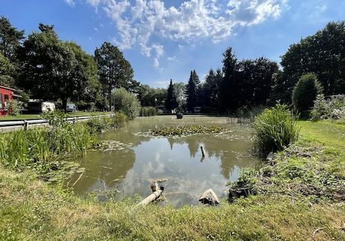 Teich