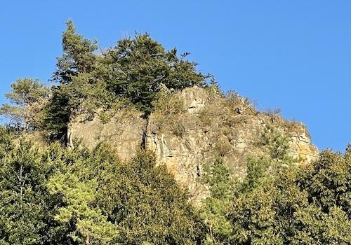IMG_8546 Kopie