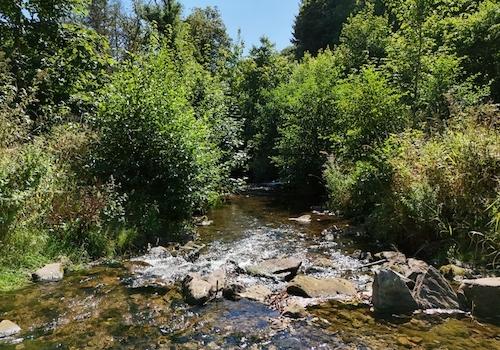 Fluss Oos